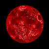 Red Moon Signs in the Sky
