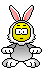 Rabbit *Rabbit*