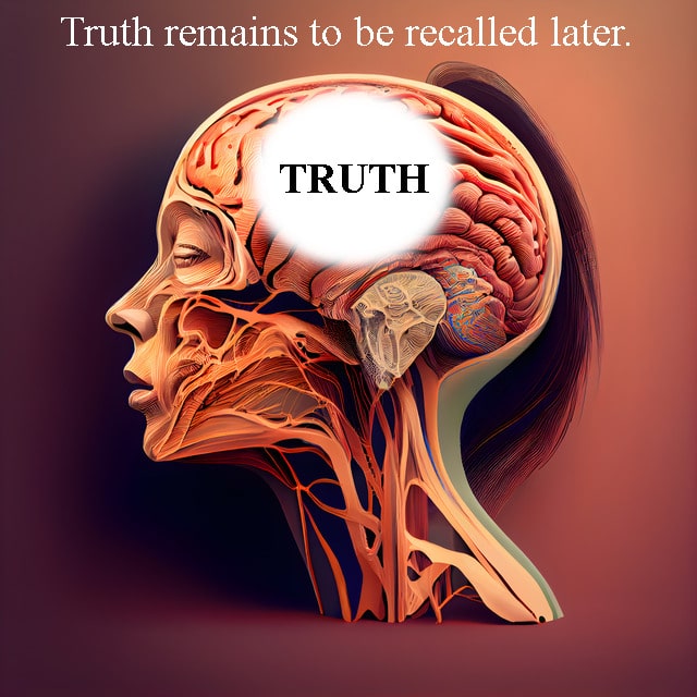 The brain decides what is truth
