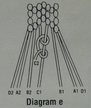 Diagram e