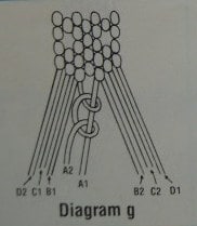 Diagram g
