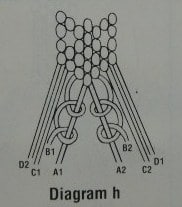 Diagram h