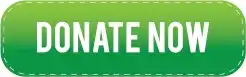 Donate Button