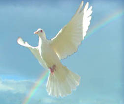 Holy Spirit Dove