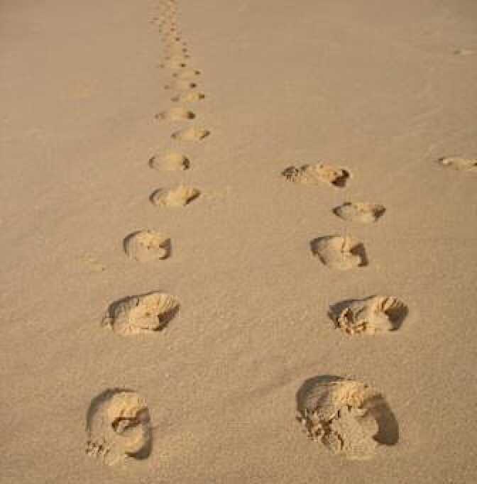 Footprints in the sand