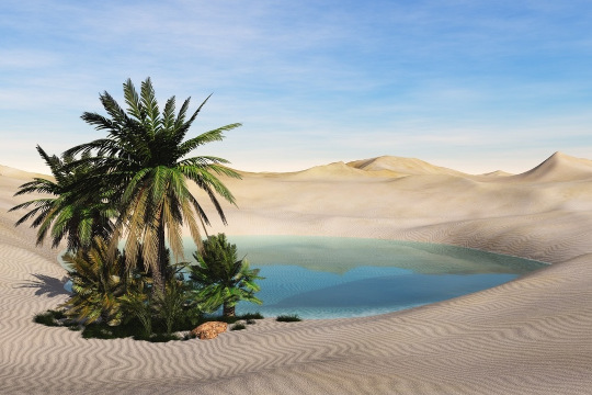 Find living water for your thirsty soul An oasis in the desert