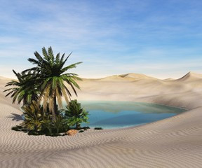 A Desert Oasis