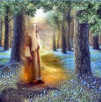 Jesus in a Forest