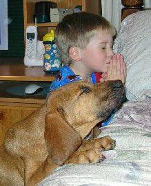 Picture of boy praying with dog