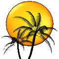 Palm tree in front of sun