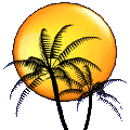 Palm tree in front of sun