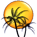Palm tree in front of sun Palm tree in front of sun