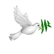 Dove Olive *DoveOlive*