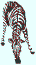 Zebra *Zebra*