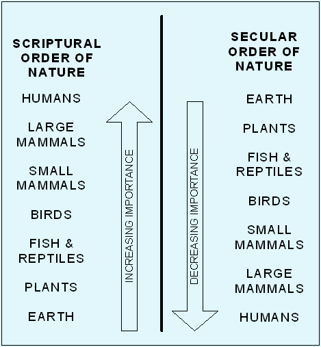 Order of Nature Comparison