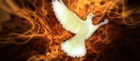 dove encircled by flame